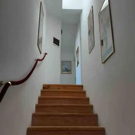 Apartman Dahlia 2