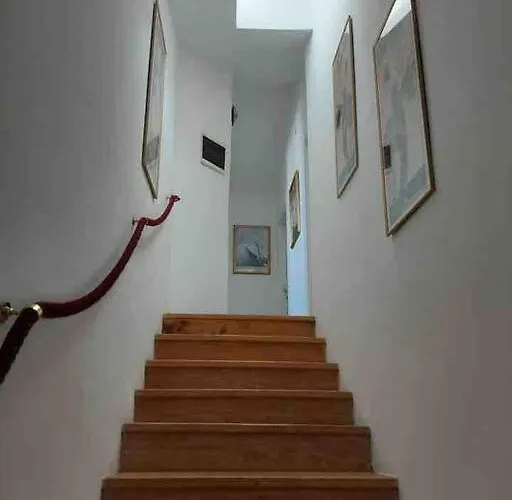 Appartamento Dahlia 2